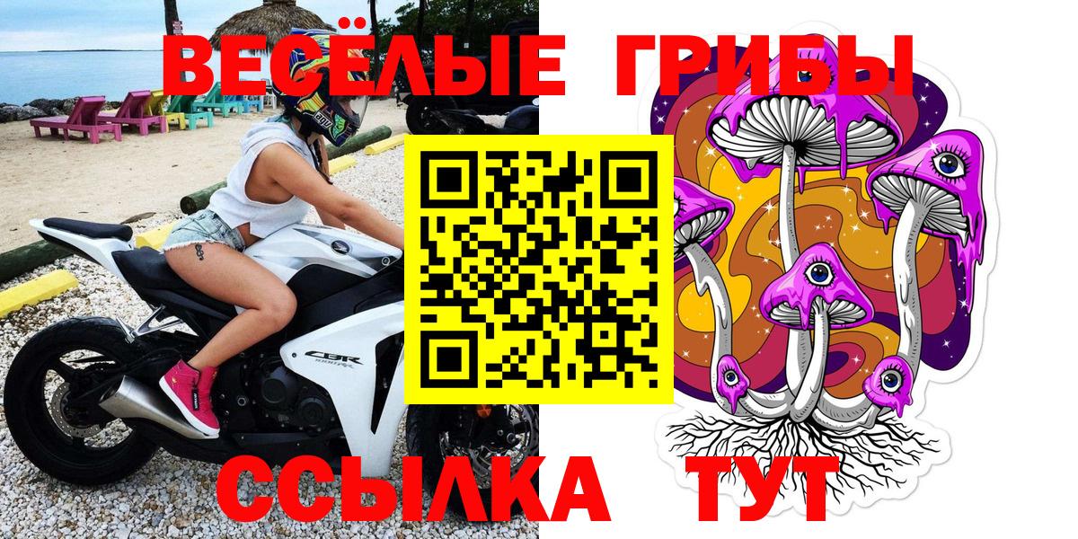 что такое   Псилоцибиновые грибы прущие грибы  Куйбышев  Вход с VPN  Галлюциногенные грибы GOLDEN TEACHER 