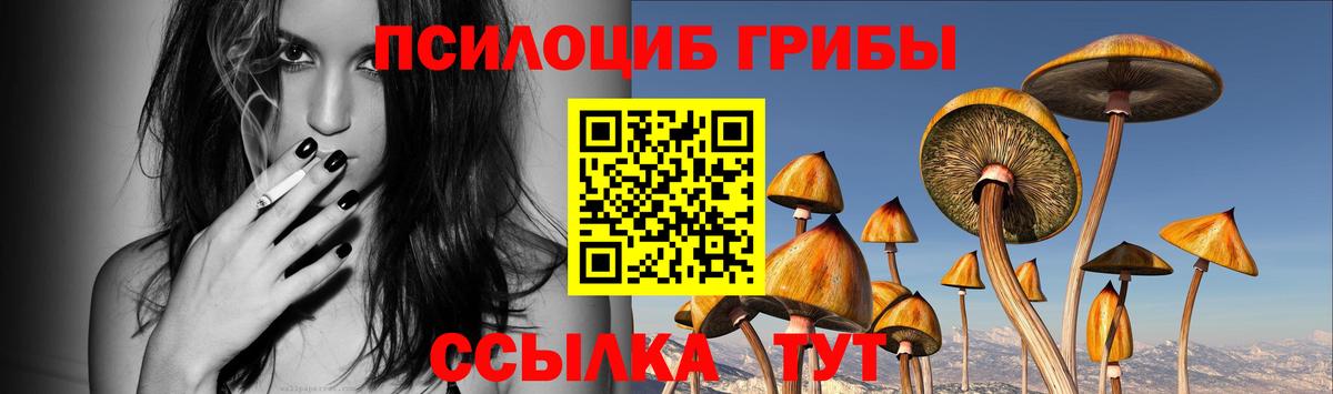 Псилоцибиновые грибы Psilocybe Куйбышев